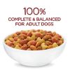 Purina Beneful Originals Dry Dog Food Farm Raised Beef, 36 lb Bag